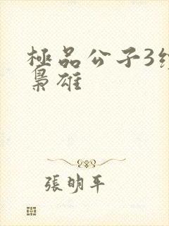 极品公子3续世枭雄