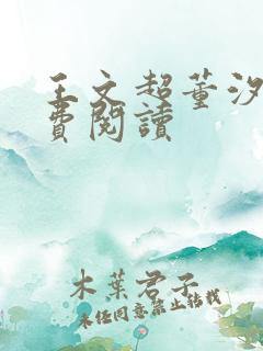 王文超董汐瑜免费阅读