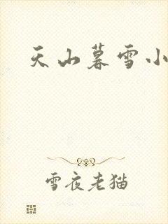 天山暮雪小说