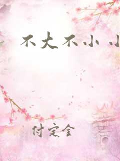 不大不小 小说