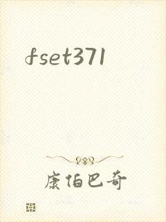 fset371