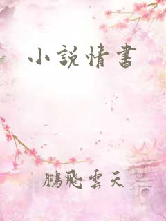 小说情书