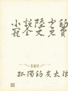 小说陆少的心尖宠全文免费阅读