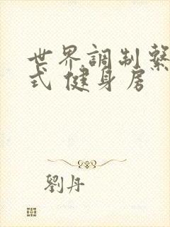 世界调制系统模式 健身房