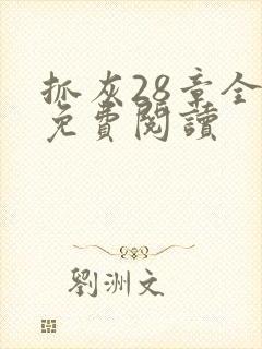 抓灰28章全部免费阅读