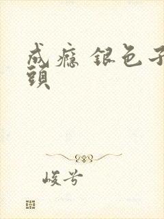 成瘾 银色子弹头