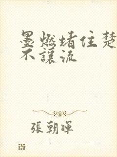 墨燃堵住楚晚宁不让流