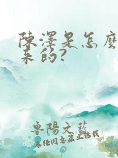 陈泽是怎么火起来的?