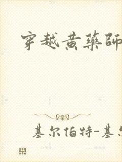 穿越黄药师之子