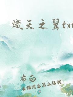炽天之翼txt