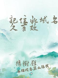 记住此域名记永久有效