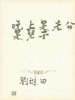 晚上是老公白天是儿子