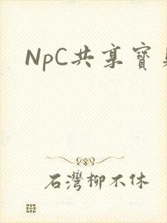 NpC共享宝贝