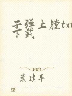 子弹上膛txt下载