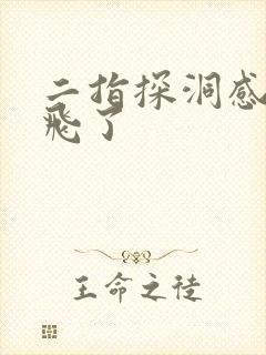 二指探洞感觉要飞了