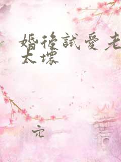 婚后试爱老公别太坏