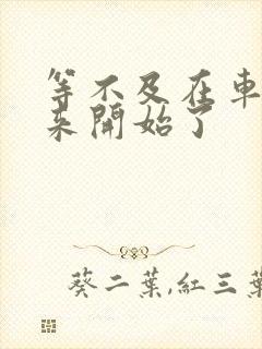 等不及在车里就来开始了