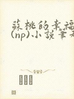 苏桃的幸福生活(np)小说笔趣阁沐沐