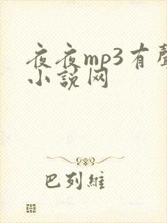 夜夜mp3有声小说网