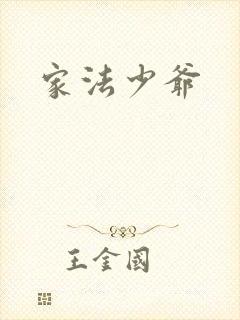 家法少爷