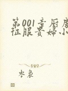 第001章厨房征服贵妇小说
