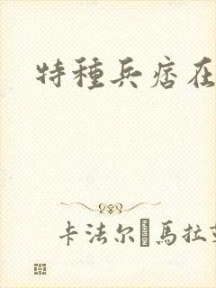 特种兵痞在都市