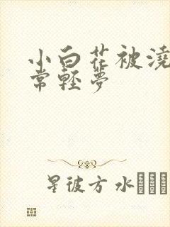 小白花被浇灌日常轻梦