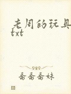 老周的玩具日记txt