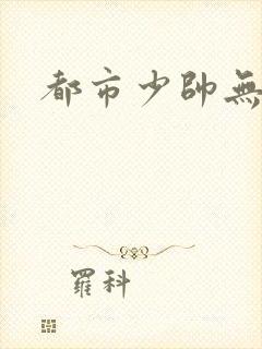 都市少帅无弹窗