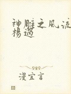 神雕之风流浪子杨过