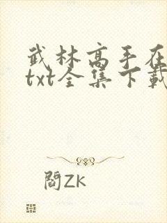武林高手在异世txt全集下载