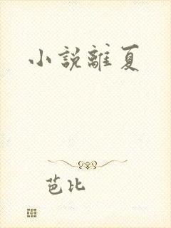 小说离夏