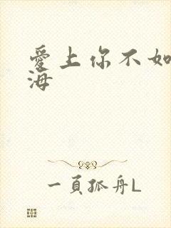 爱上你不如爱上海