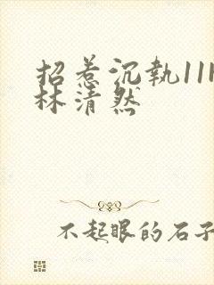 招惹沉执11H林清然