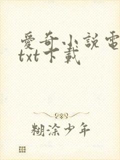 爱奇小说电子书txt下载