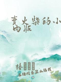 卖火柴的小男孩 肉版