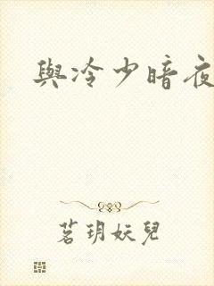与冷少暗夜孽爱