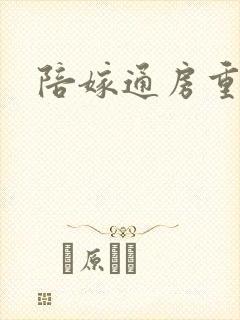 陪嫁通房重生记