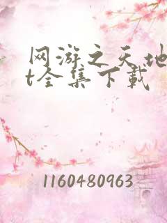 网游之天地txt全集下载