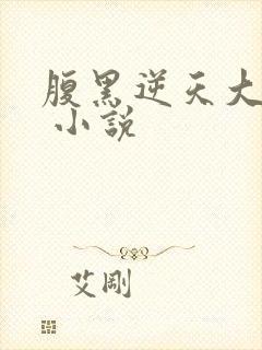 腹黑逆天大小姐 小说