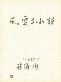 风云3小说