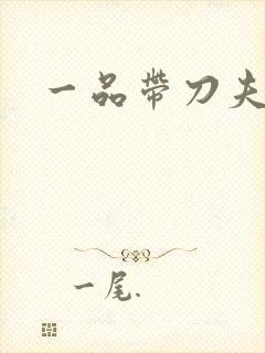 一品带刀夫人
