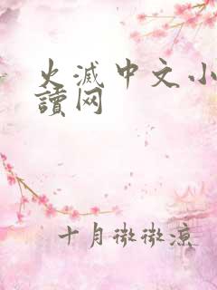 火灭中文小说阅读网