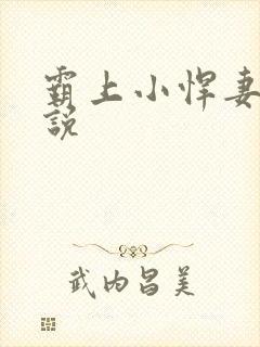 霸上小悍妻 小说