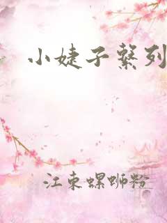 小婕子系列小说