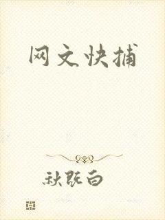 网文快捕