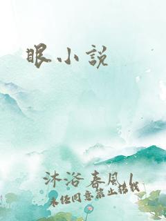 眼小说