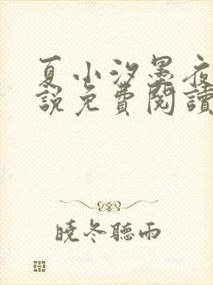 夏小汐墨夜霆小说免费阅读