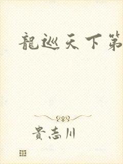 龙巡天下第四部