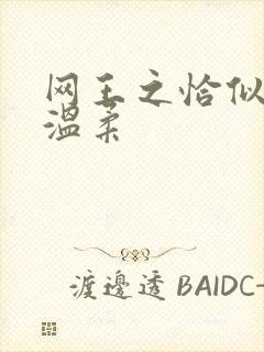 网王之恰似你的温柔